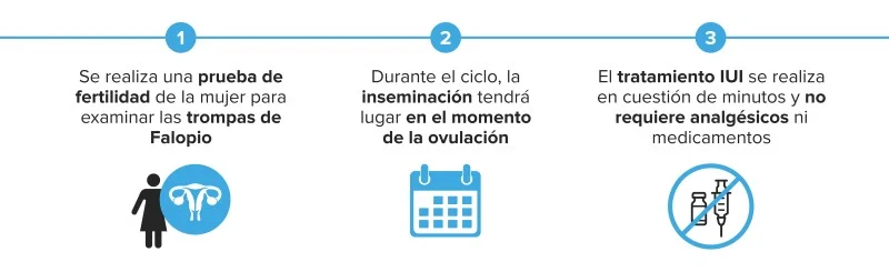 Proceso del tratamiento de fertilidad IUI