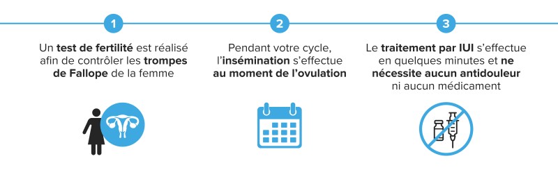 Le processus du traitement par IUI