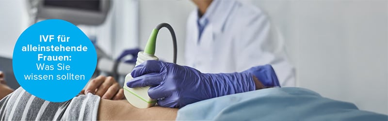 pflanzenstütze stab Monstera Pflanzenstütze – Blumenstab & Pflanzengestell zur Stabilisier –  Gartup