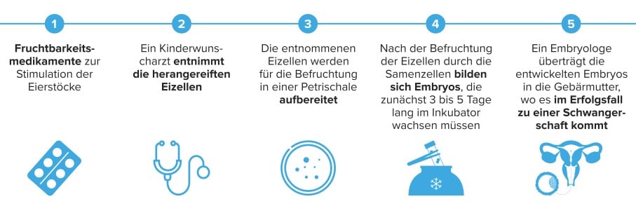 Graphische Darstellung eines IVF-Verfahrens Graphische Darstellung eines IVF-Verfahrens