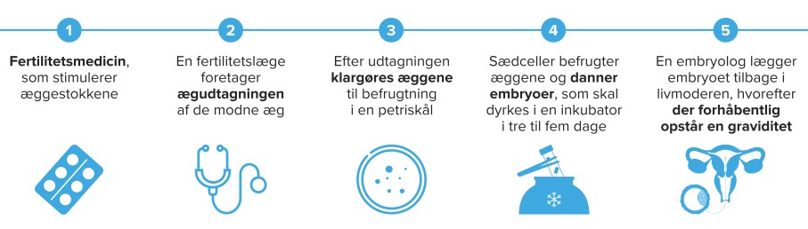 En illustration af IVF-behandlingsforløbet