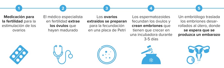 Una ilustración gráfica del proceso de un tratamiento de FIV