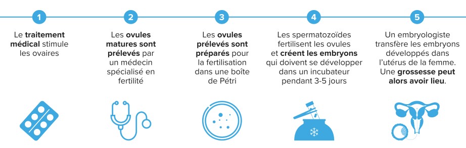 Une illustration graphique du processus de traitement par FIV