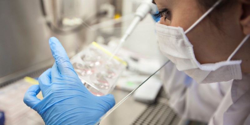 Un médico especialista en fertilidad fecundando un óvulo para un tratamiento de FIV