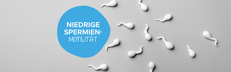 Was Sie ber niedrige Spermienmotilitt wissen sollten Was Sie ber niedrige Spermienmotilitt wissen sollten