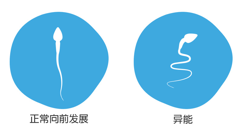 精子活力低的原因可能是精子细胞运动能力差