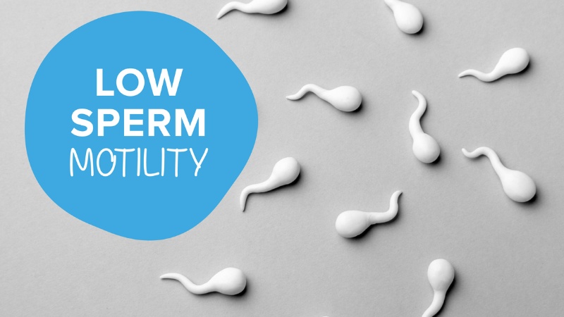 Azoospermia Treatment In Chennai