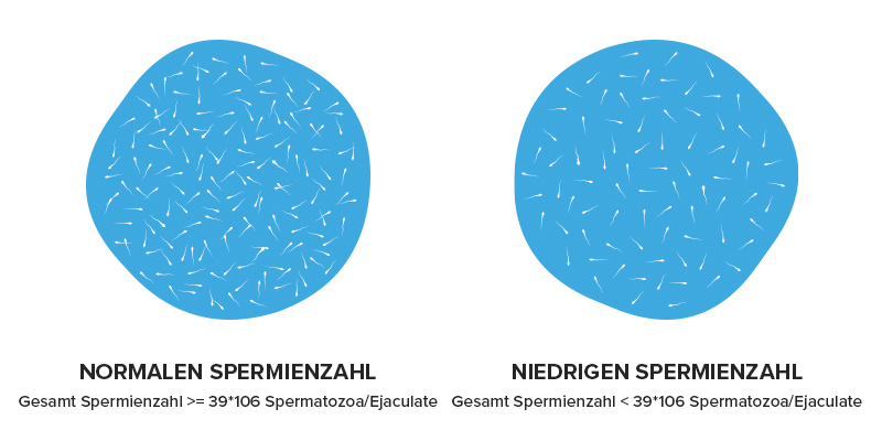 Darstellung der Unterschiede zwischen einer normalen und einer niedrigen Spermienzahl