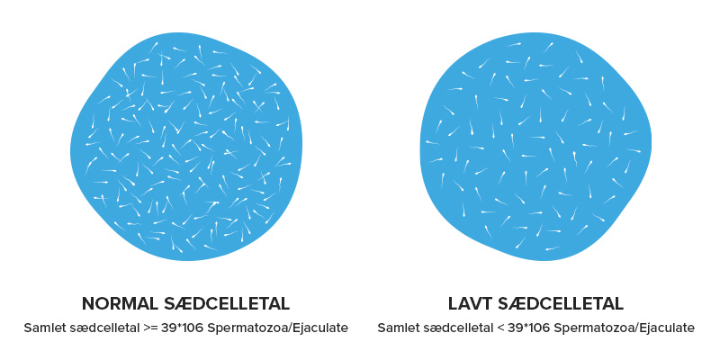 Illustration af forskellen mellem normalt og lavt sædcelletal