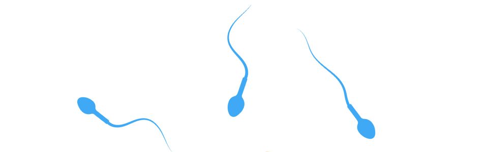 Illustration of sperm cells Illustration of sperm cells