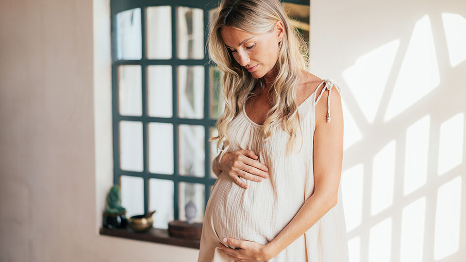 Pregnant woman standing in front of window Pregnant woman standing in front of window