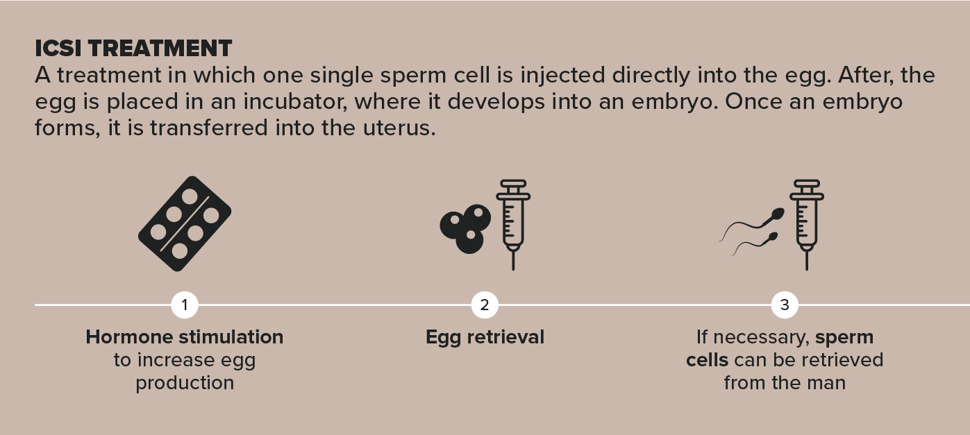 ICSI treatment infographic