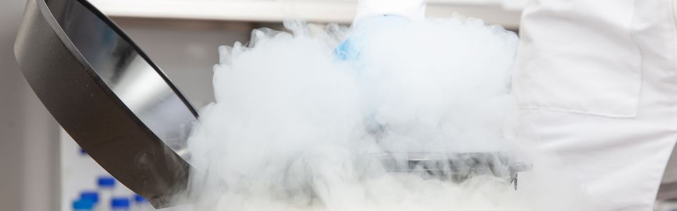 Cryo tank with sperm