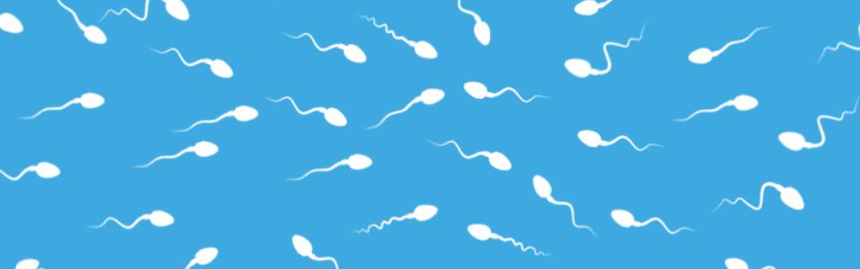 Illustration of sperm cells