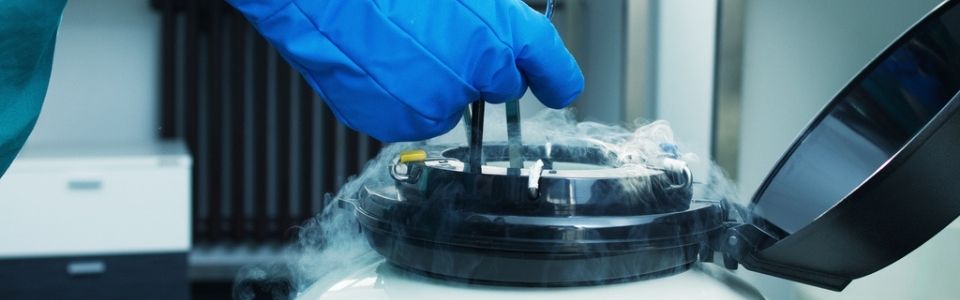 Un serbatoio refrigerato e il suo contenuto