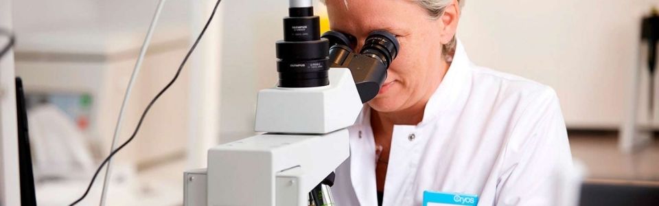 Analyst examinating sperm straws