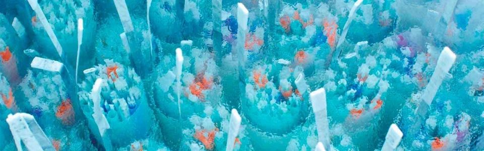 Close up of sperm straws