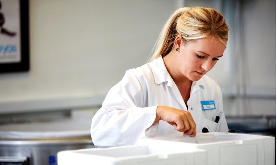 Cryos employee preparing sperm straws for clinics – Safe and easy handling of high-quality sperm from Cryos 