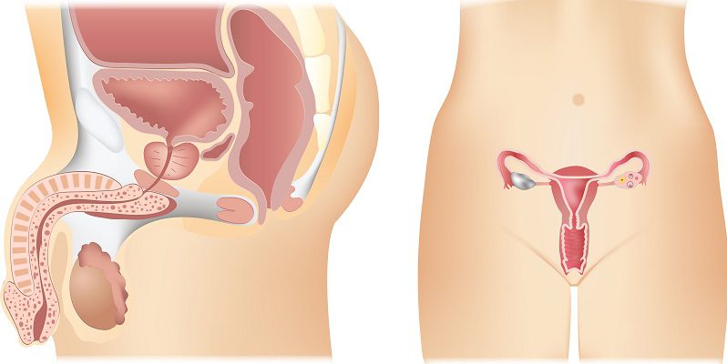 Infertility treatment options include reproductive surgery, IUI, medication and home insemination
