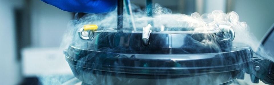 Donor sperm being pulled from cryo container