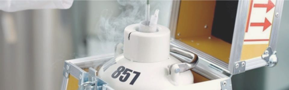 Cryo container with donor sperm