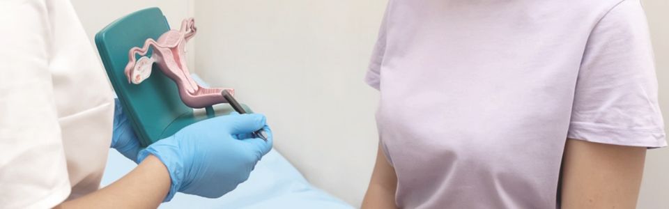 Fertility doctor showing a patient the female reproductive system
