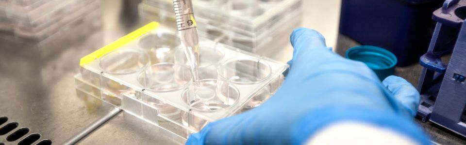 IVF being performed