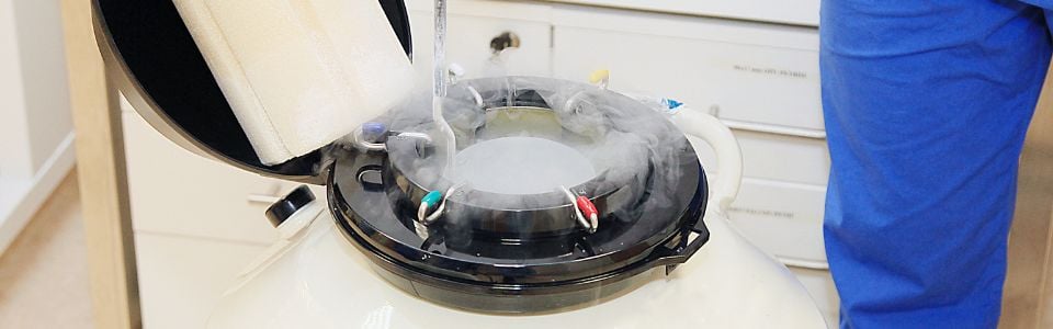Cryo tank with frozen sperm