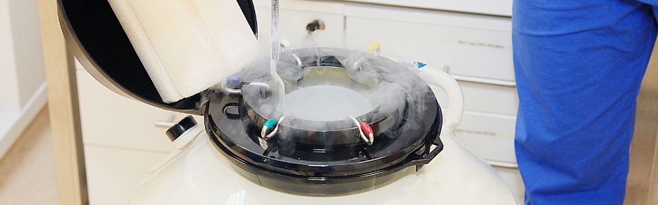 Cryo tank with frozen sperm
