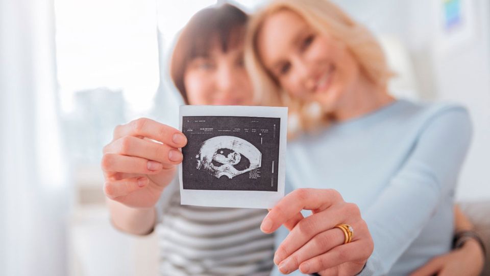 Pregnant lesbian couple Pregnant lesbian couple