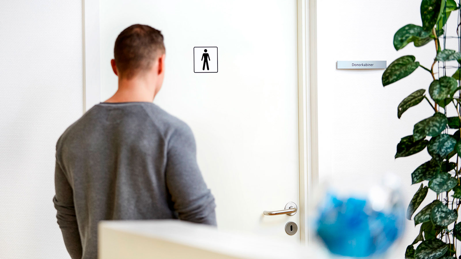 Cryos sperm donor  – how to improve sperm quality