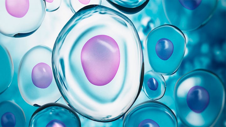 Cryos Donor Egg Guarantee