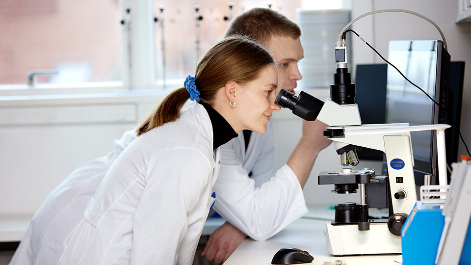 Cryos performing Genetic Matching on egg and sperm donors 